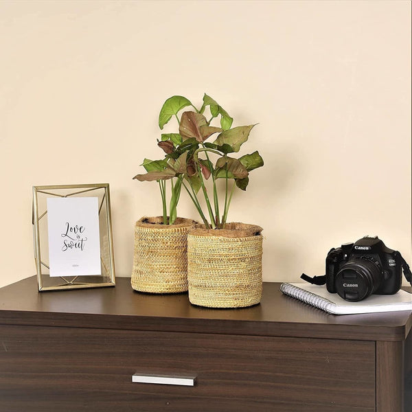 Buy 5" Golden Grass Succulent Planter | Shop Verified Sustainable Products on Brown Living