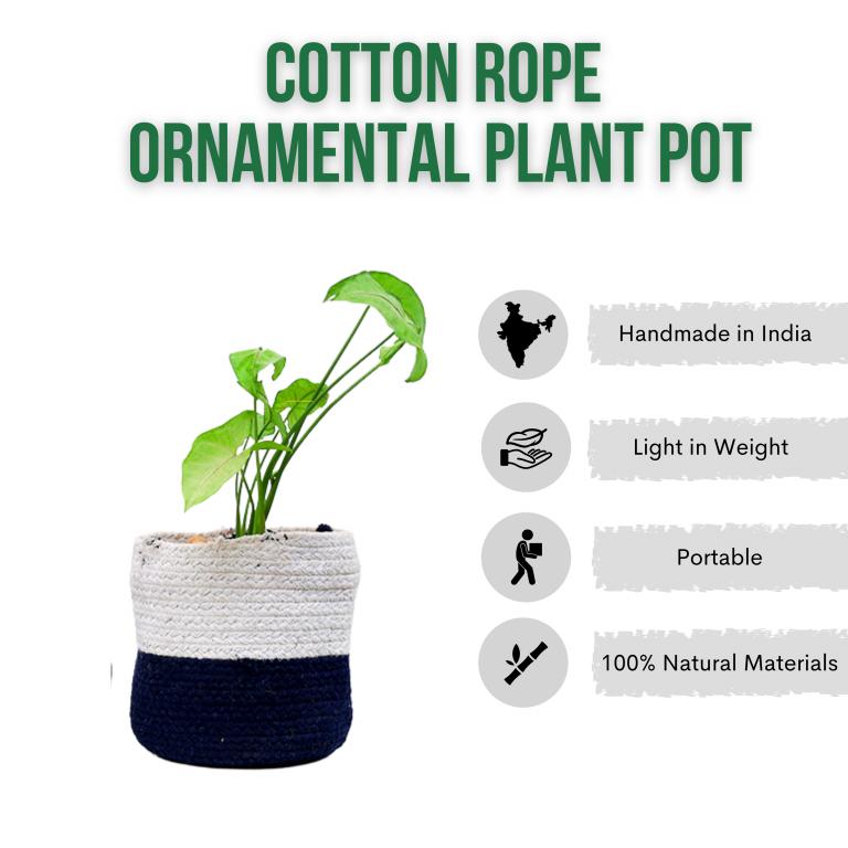 Buy 7" Cotton Rope Ornamental Plant Pot | Shop Verified Sustainable Pots & Planters on Brown Living™