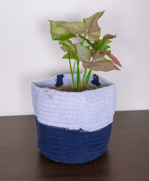 Buy 7" Cotton Rope Ornamental Plant Pot | Shop Verified Sustainable Pots & Planters on Brown Living™
