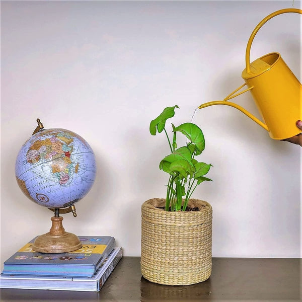 Buy 7" Water-Hyacinth Ornamental Plant Pot | Shop Verified Sustainable Pots & Planters on Brown Living™