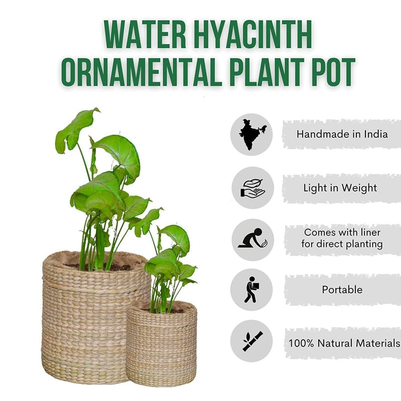 Buy 7" Water-Hyacinth Ornamental Plant Pot | Shop Verified Sustainable Products on Brown Living