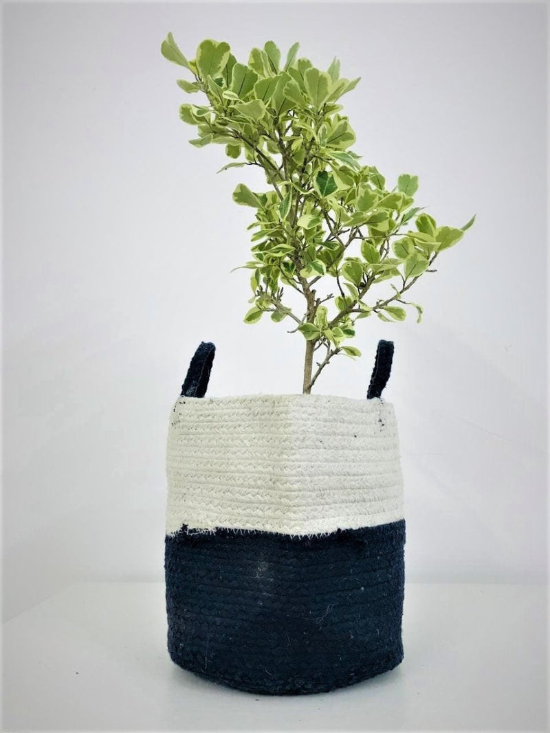 Buy 9" Cotton Rope Floor Planter | Shop Verified Sustainable Products on Brown Living