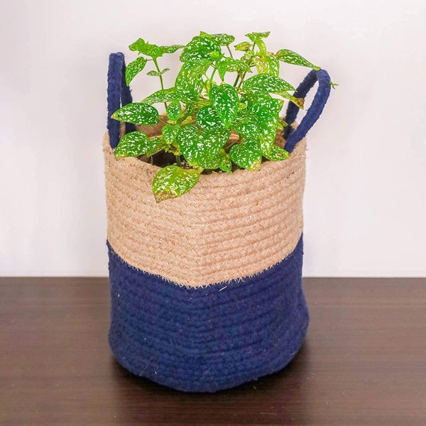Buy 9" Jute Rope Floor Planter | Shop Verified Sustainable Pots & Planters on Brown Living™