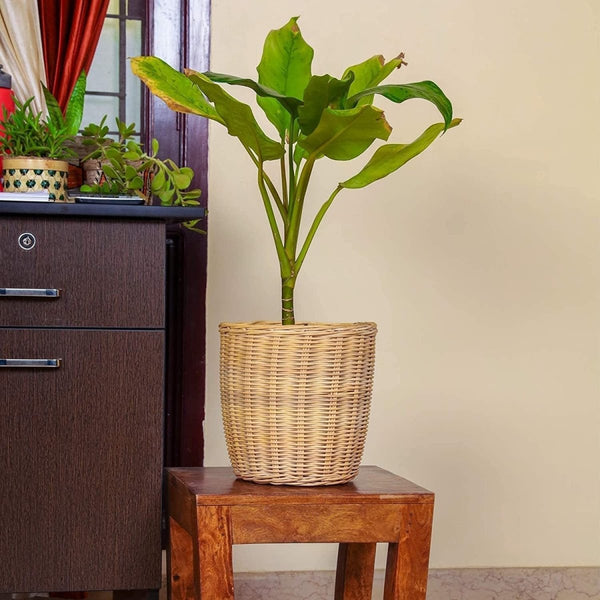 Buy 9" Reed Floor Planter | Shop Verified Sustainable Pots & Planters on Brown Living™