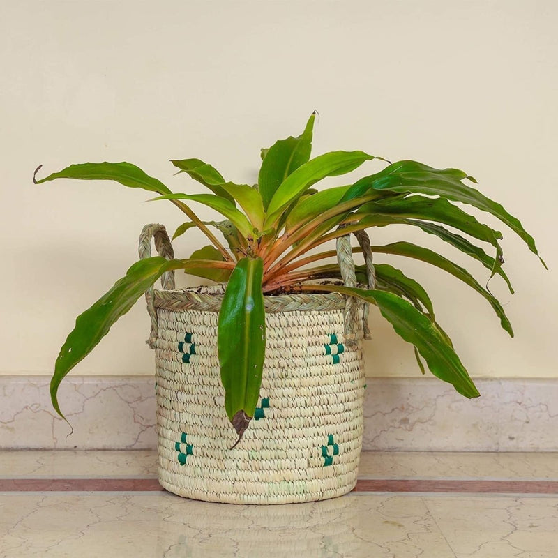 Buy 9" Sabai Fiber Floor Planter | Shop Verified Sustainable Products on Brown Living