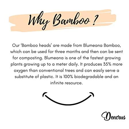 Buy Aluminium Bamboo Toothbrush Head Pack 2 | Shop Verified Sustainable Products on Brown Living