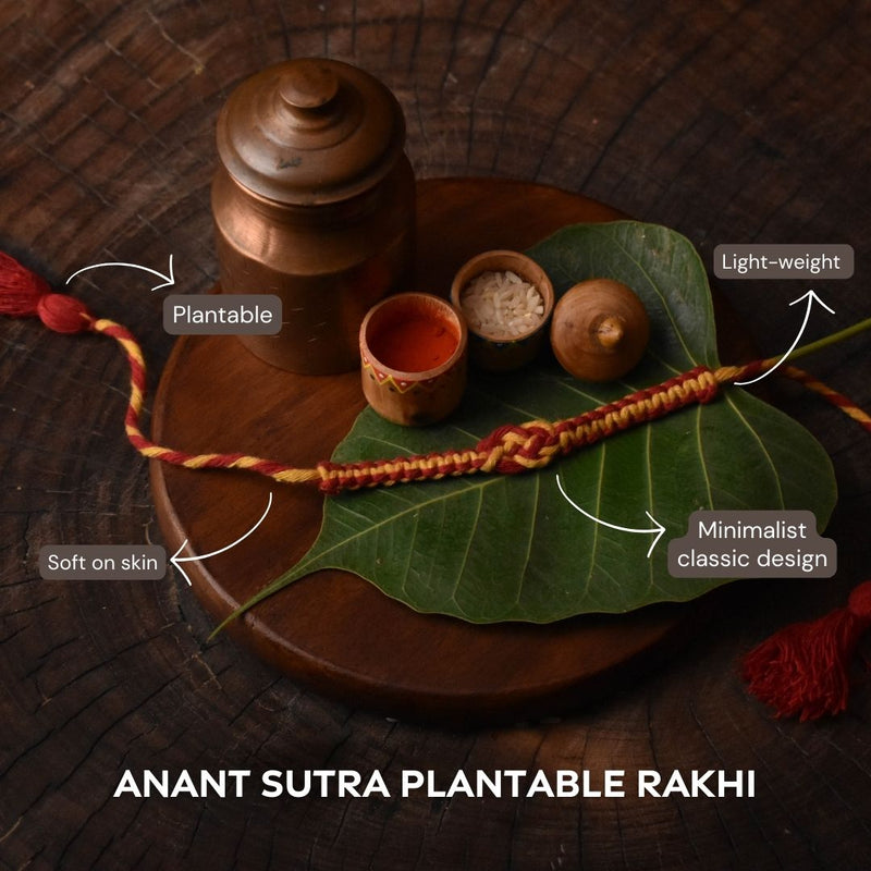Buy Anant Sutra Plantable Seed Rakhi Box | Roli-Chawal | Tulsi Plant | Seed Ball | Minimalist | Handmade in Banaras | Shop Verified Sustainable Products on Brown Living