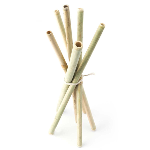 Buy Bamboo Straws - Set of 6 - Eco-friendly / Washable / Reusable | Shop Verified Sustainable Products on Brown Living