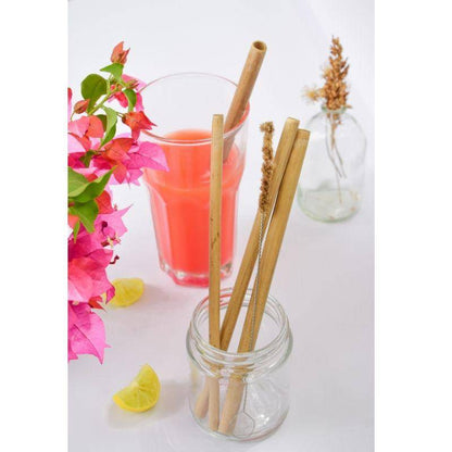 Bamboo Straws with a Sisal Fiber Straw Cleaner | Verified Sustainable by Brown Living™