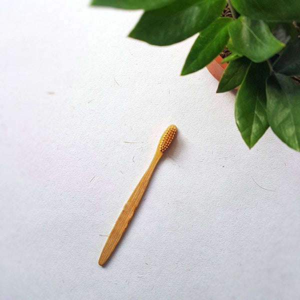 Buy Bamboo Tooth Brush | Shop Verified Sustainable Products on Brown Living