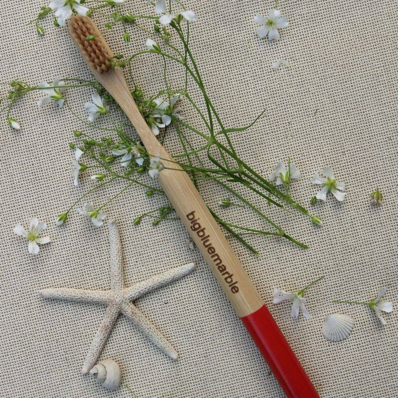 Buy Bamboo Toothbrush - Natural | Shop Verified Sustainable Products on Brown Living
