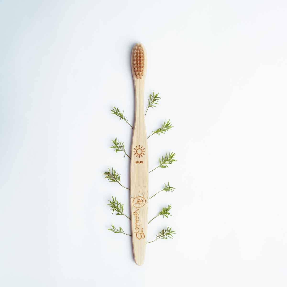 Bamboo Toothbrush - Pack of 2 | Verified Sustainable by Brown Living™