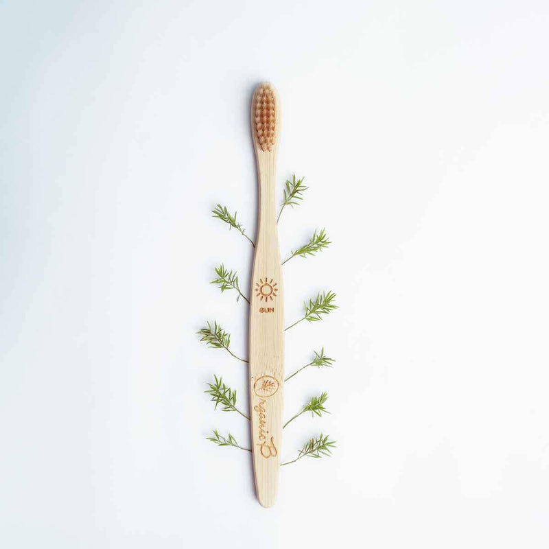 Buy Bamboo Toothbrush - Pack of 2 | Shop Verified Sustainable Tooth Brush on Brown Living™