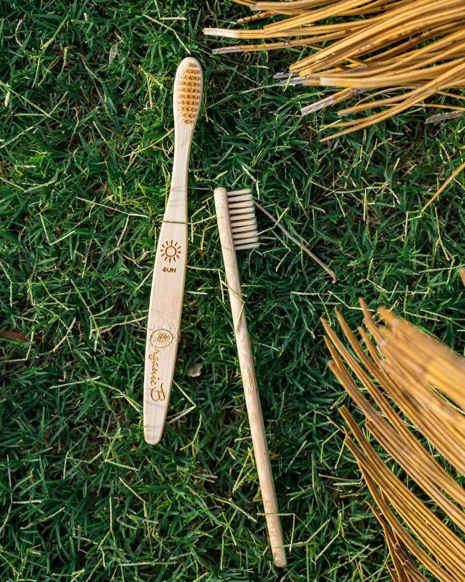 Bamboo Toothbrush - Pack of 2 | Verified Sustainable by Brown Living™