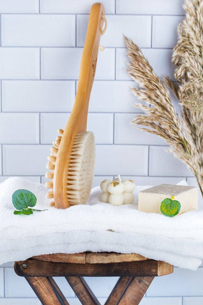 Bath Brush 2 In 1 with Free Loofah | Body Brush with Handle – Bath Accessories on Brown Living™. SKU: TBB - 25. Img 2.