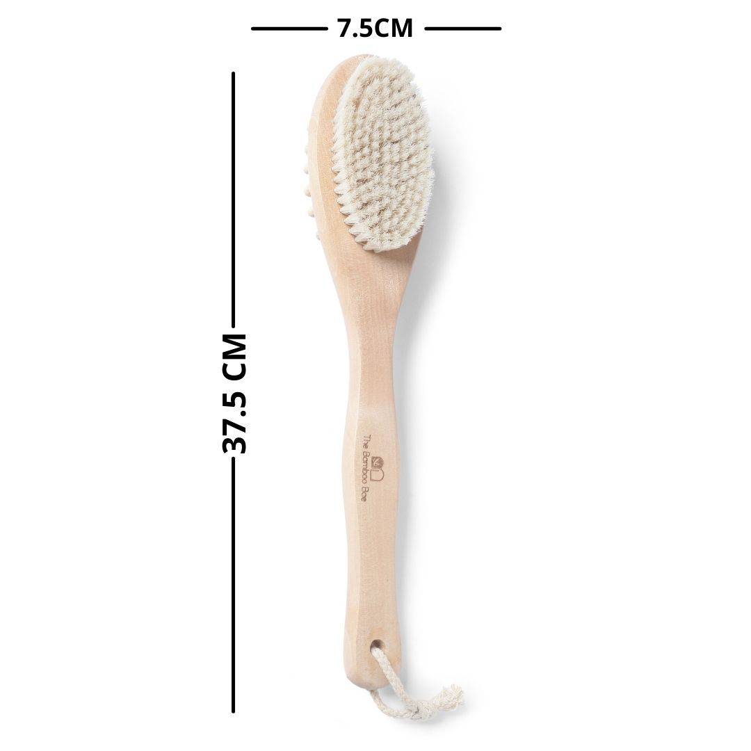 Bath Brush 2 In 1 with Free Loofah | Body Brush with Handle | Verified Sustainable by Brown Living™