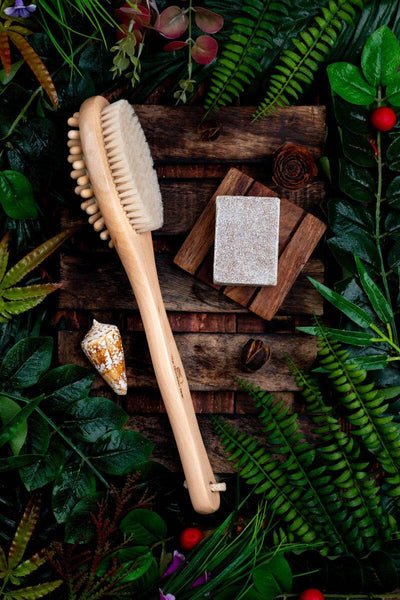 Bath Brush 2 In 1 with Free Loofah | Body Brush with Handle – Bath Accessories on Brown Living™. SKU: TBB - 25. Img 1.