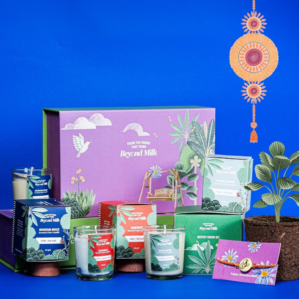 Buy Best Brother- Rakhi Gift Box | Rakhi Gift For Brother & Sister | Shop Verified Sustainable Products on Brown Living