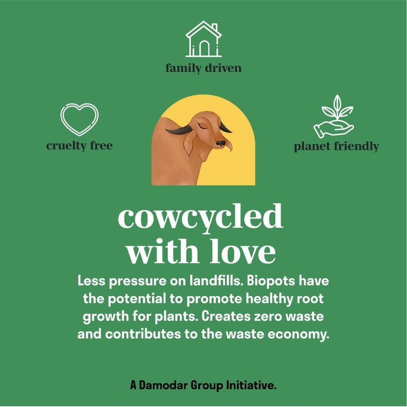 Buy Bio Pot Kit- Pack of 3 | Eco- friendly Planters | Shop Verified Sustainable Products on Brown Living
