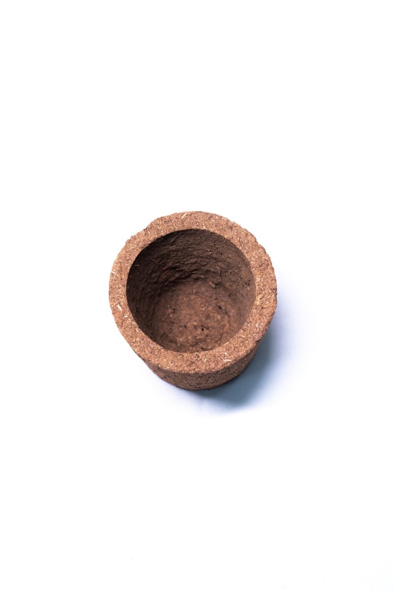 Buy Bio Pot Kit (Pack of 4) | Eco- friendly Planters | Shop Verified Sustainable Products on Brown Living