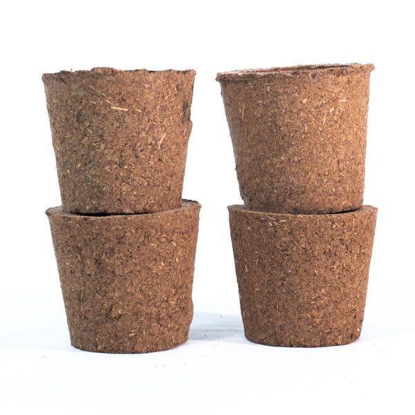Buy Bio Pot Kit (Pack of 4) | Eco- friendly Planters | Shop Verified Sustainable Products on Brown Living