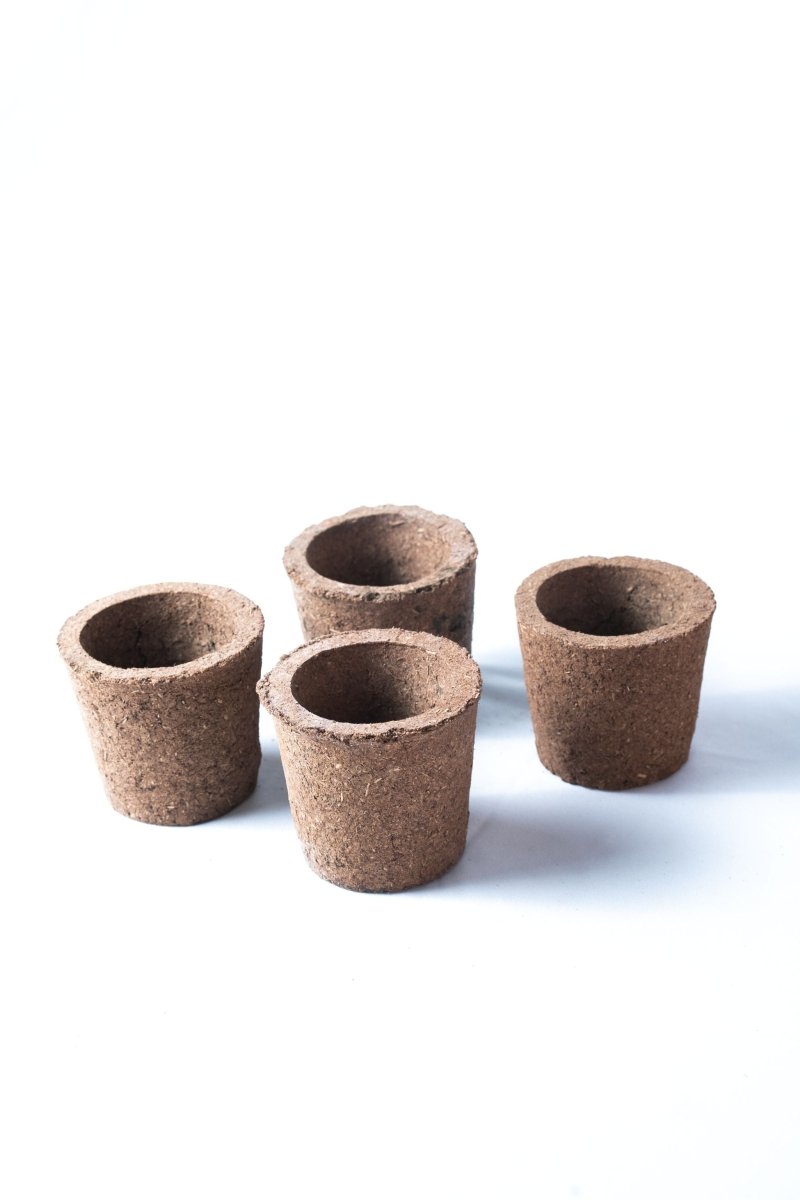Buy Bio Pot Kit (Pack of 4) | Eco- friendly Planters | Shop Verified Sustainable Products on Brown Living