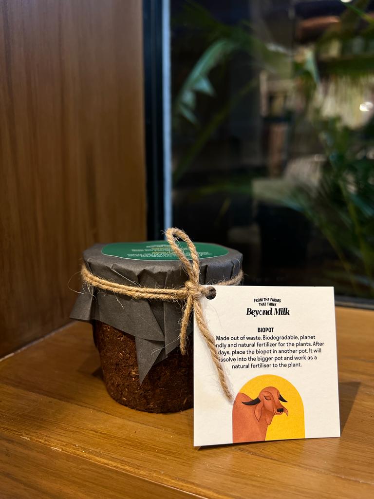 Buy Bio Pot Kit (Pack of 4) | Eco- friendly Planters | Shop Verified Sustainable Products on Brown Living
