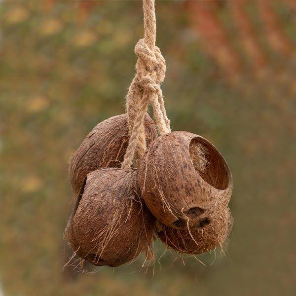 Bird Feeder | Coconut Shell Bird House with Hanging Rope | Verified Sustainable by Brown Living™