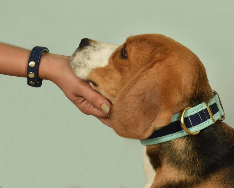 Buy Bond Collar - Blue for pets | Shop Verified Sustainable Products on Brown Living