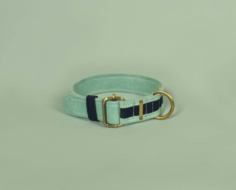 Buy Bond Collar - Blue for pets | Shop Verified Sustainable Products on Brown Living