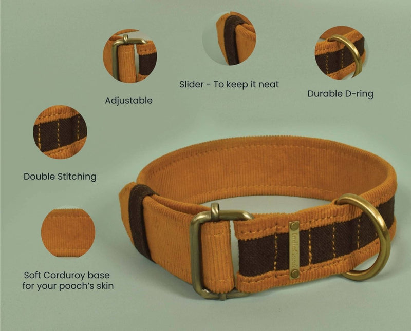 Buy Bond Collar - Brown for pets | Shop Verified Sustainable Products on Brown Living