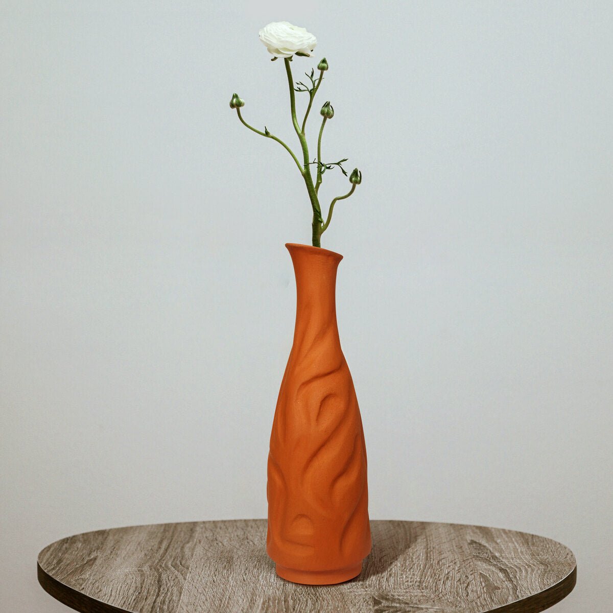 Bot Lipped Profiled Terracotta Flower Vase by CraftLipi – Brown Living™