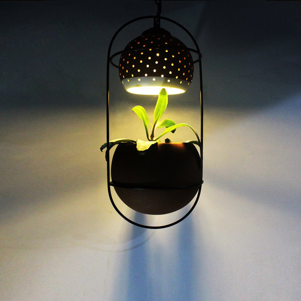 Breathing - Hanging Balcony Planter - Green Light | Verified Sustainable by Brown Living™