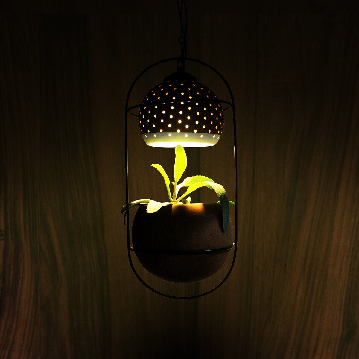 Breathing - Hanging Balcony Planter - Green Light | Verified Sustainable by Brown Living™