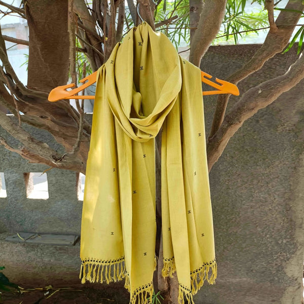 Buy Burst of Lime Stole | Sustainable Cotton Stole | Shop Verified Sustainable Products on Brown Living
