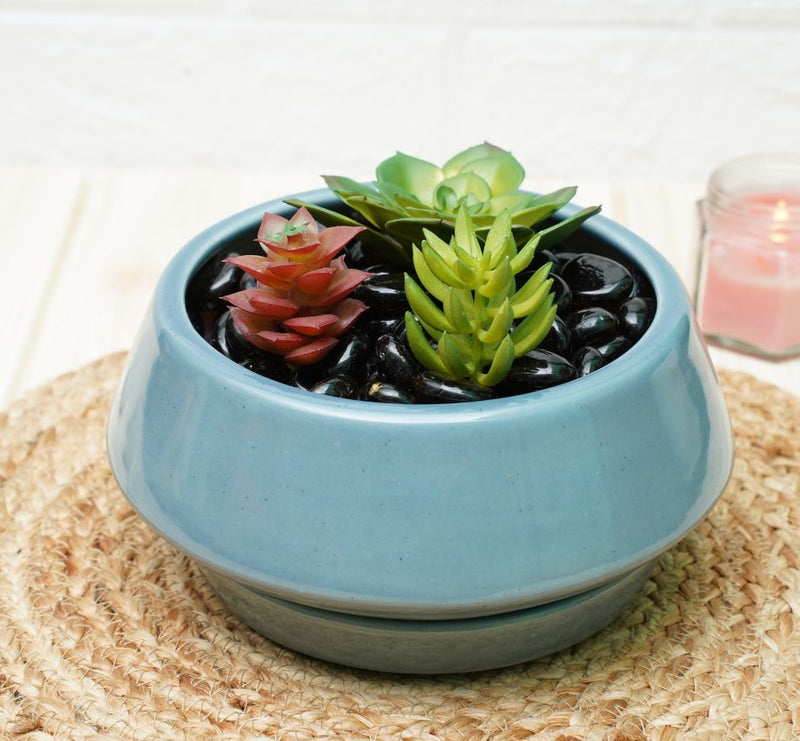Buy Ceramic Bonsai Pots for Plants | Grey | Shop Verified Sustainable Products on Brown Living