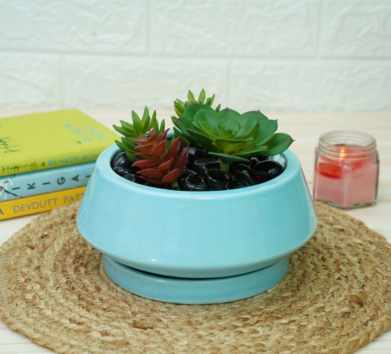 Buy Ceramic Bonsai Pots for Plants | Sky Blue | Shop Verified Sustainable Products on Brown Living