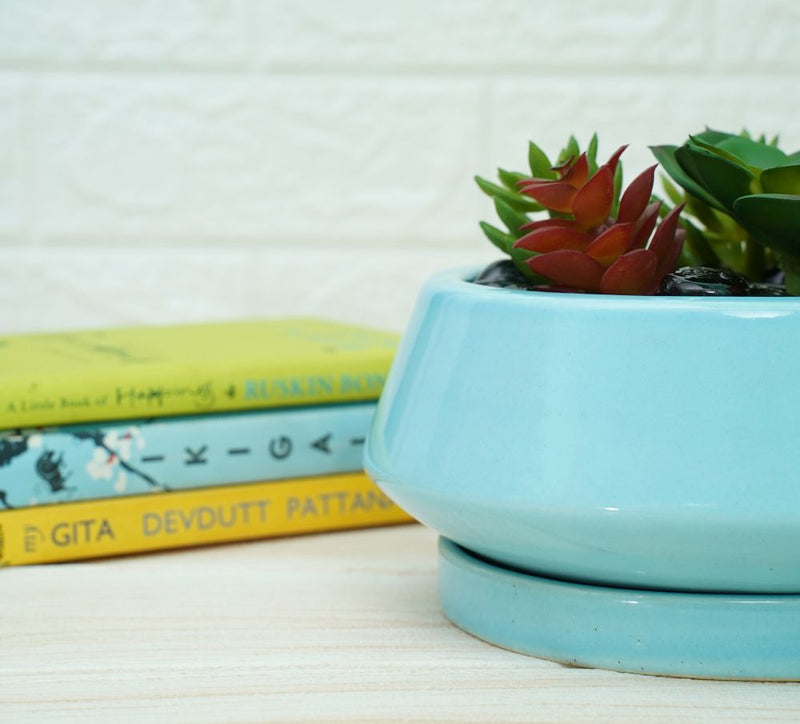 Buy Ceramic Bonsai Pots for Plants | Sky Blue | Shop Verified Sustainable Products on Brown Living