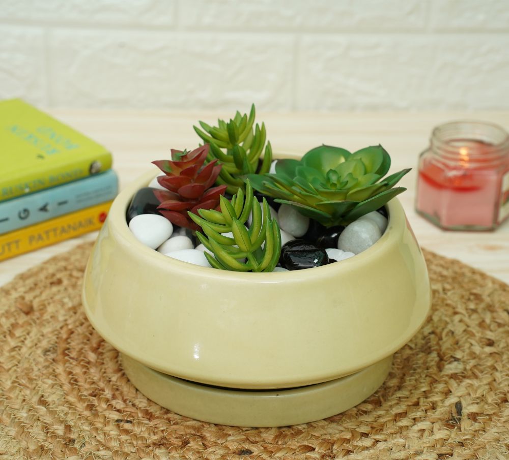 Ceramic Bonsai Pots for Plants | Yellow | Verified Sustainable by Brown Living™