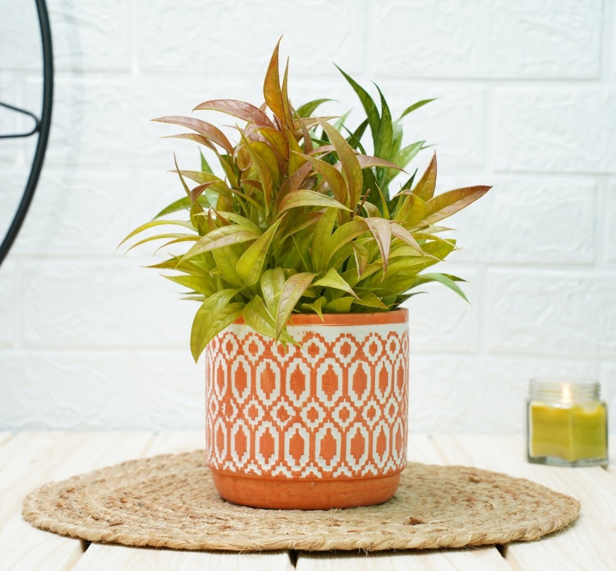 Ceramic Pots For Indoor Plants 14 X 15 Cm (Orange Aztec) | Verified Sustainable by Brown Living™