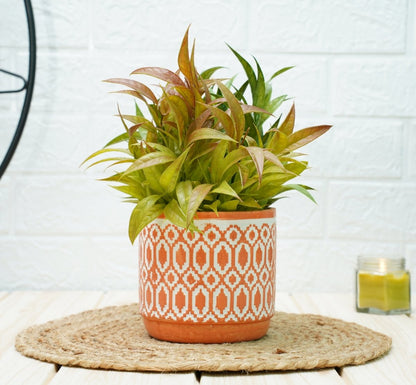 Ceramic Pots For Indoor Plants 14 X 15 Cm (Orange Aztec) | Verified Sustainable by Brown Living™
