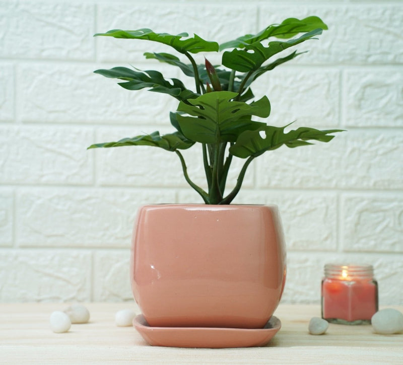 Buy Ceramic Pots For Indoor Plants (Peach Hanoi) | Shop Verified Sustainable Products on Brown Living