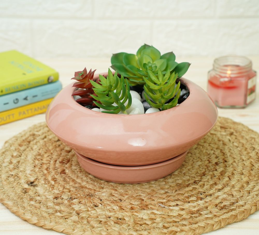 Ceramic Succelent Pots for Plants | Pink | Verified Sustainable by Brown Living™