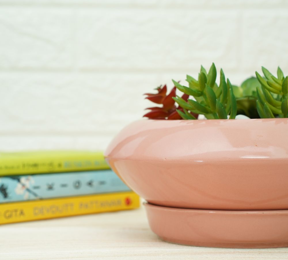 Ceramic Succelent Pots for Plants | Pink | Verified Sustainable by Brown Living™