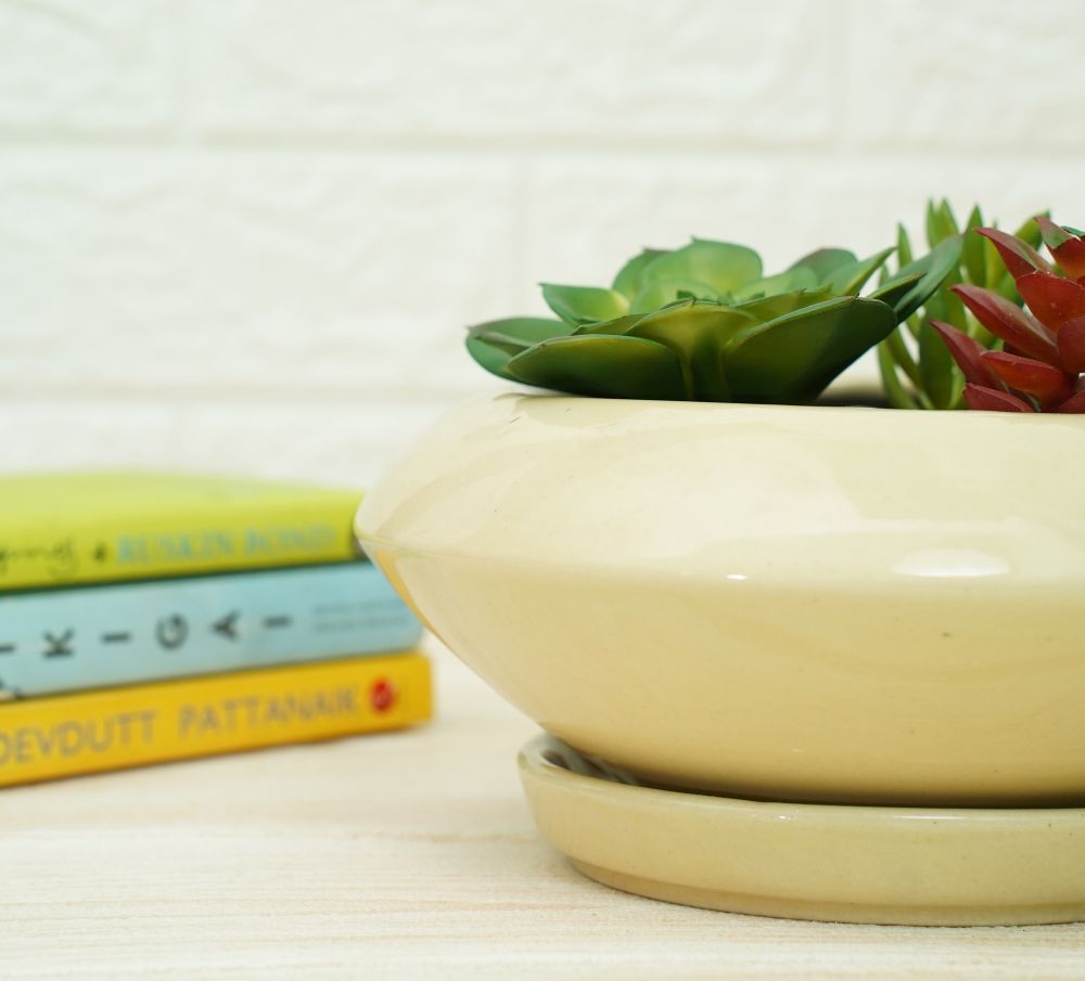 Ceramic Succelent Pots for Plants | Yellow | Verified Sustainable by Brown Living™