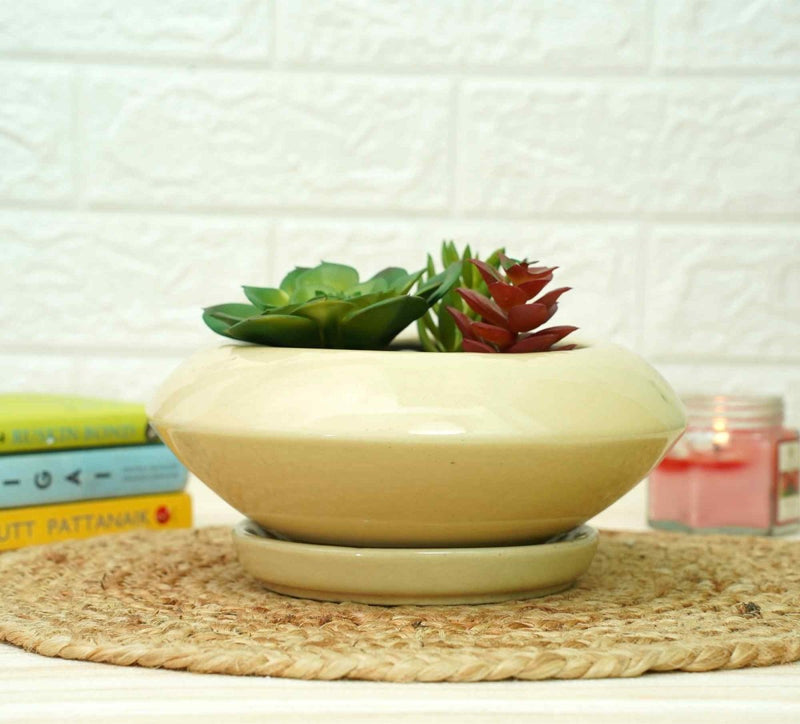 Buy Ceramic Succelent Pots for Plants | Yellow | Shop Verified Sustainable Products on Brown Living