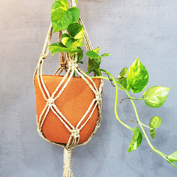 Buy Classic Terracotta Planter with Jute Macrame Hanger Design 4 | Shop Verified Sustainable Products on Brown Living