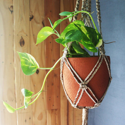 Classic Terracotta Planter with Jute Macrame Hanger Design1 | Verified Sustainable by Brown Living™