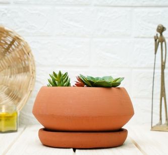 Clay Pots for Plants | Bonsai Pot | Terracotta Pots for Plants | Plants Pots | Verified Sustainable by Brown Living™