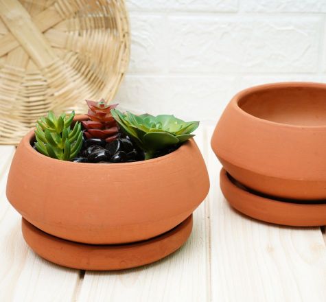 Clay Pots for Plants | Bonsai Pot | Terracotta Pots for Plants | Plants Pots | Verified Sustainable by Brown Living™